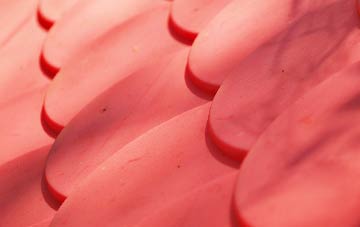 Athelney plastic roof costs